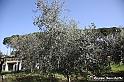 VBS_7137 - PressTour educational dedicato ai vini del Pinerolese e all’olio prodotto sulla collina di Pinerolo